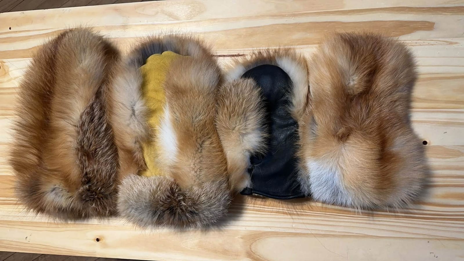 A row of coyote fur hats on a wood bench, one opened to a yellow lining