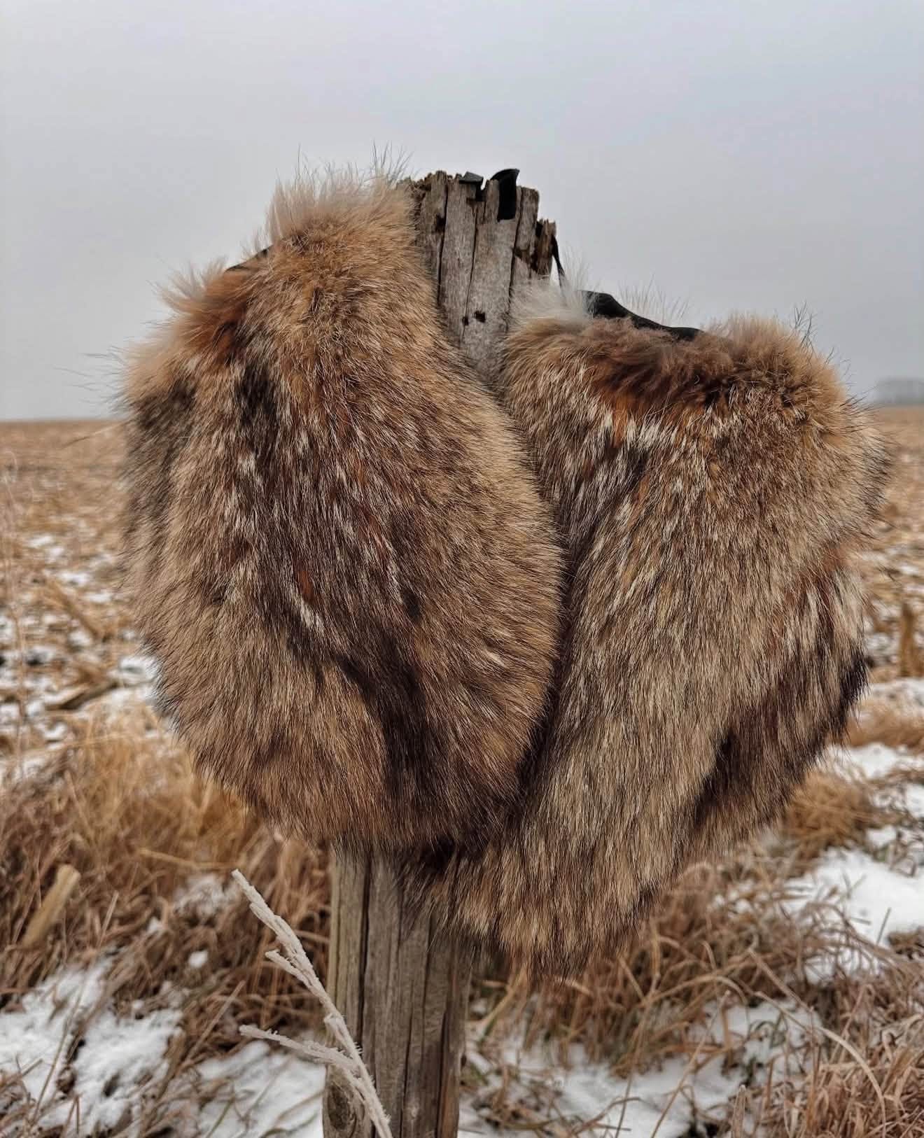 Two coyote fur hats on a fence post in a winter prairie