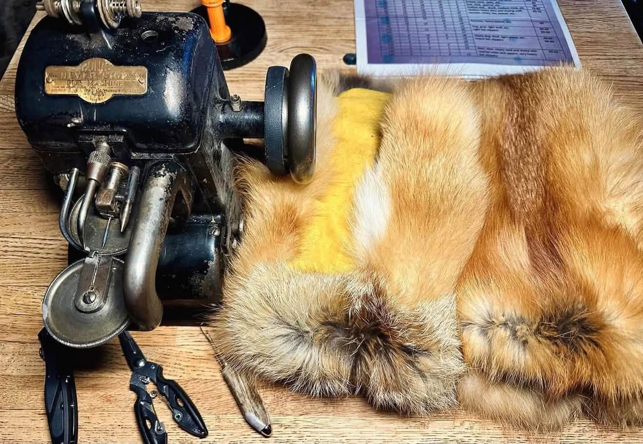A coyote fur piece with yellow lining beside a fur sewing machine